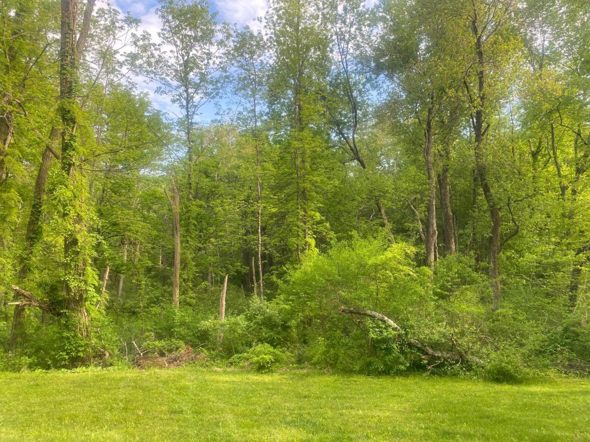Newly Renovated 3Br Hudson Valley House Ulster Park ภายนอก รูปภาพ